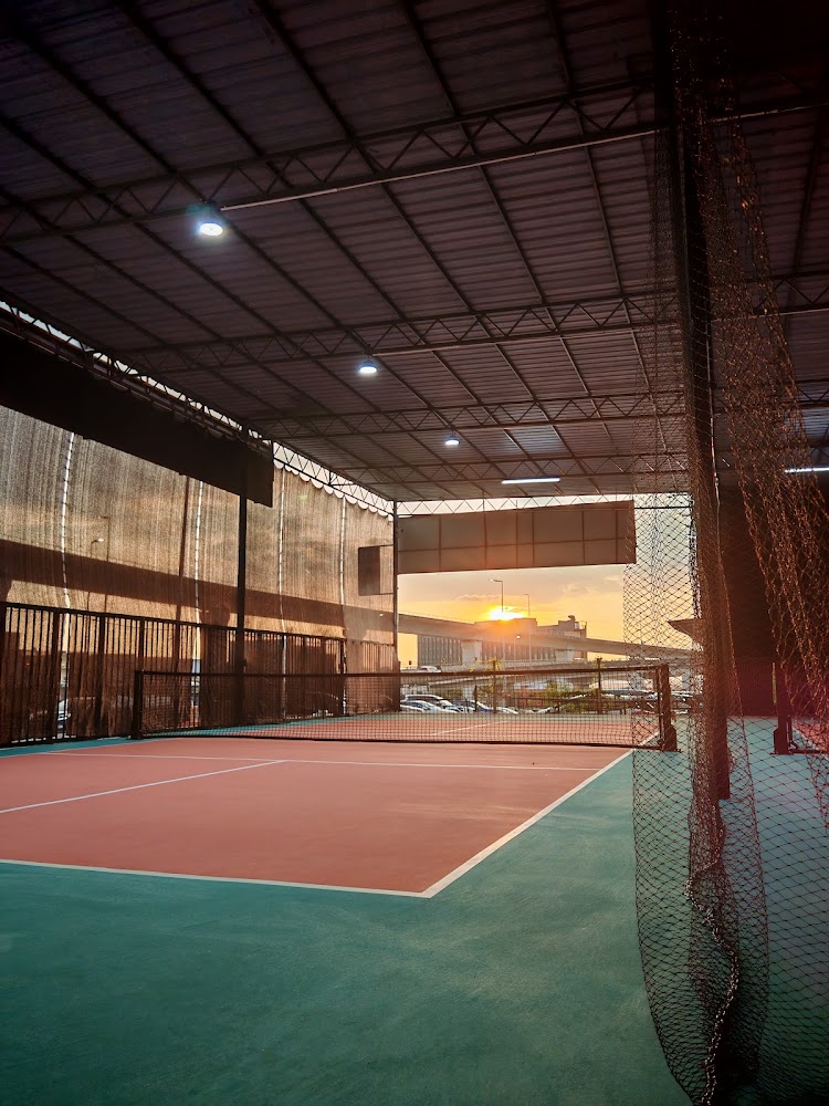 The Pickle Tree (Pickleball Court & Cafe)