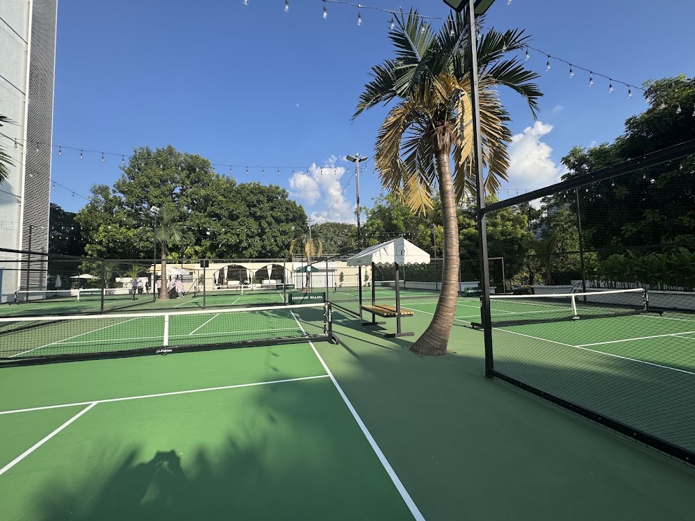 Las Palmas Pickleball Club